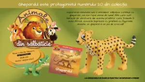 Ghepardul este eroul numărului 20 al Colecției „Animale din sălbăticie”, la chioșcuri din 7 iulie