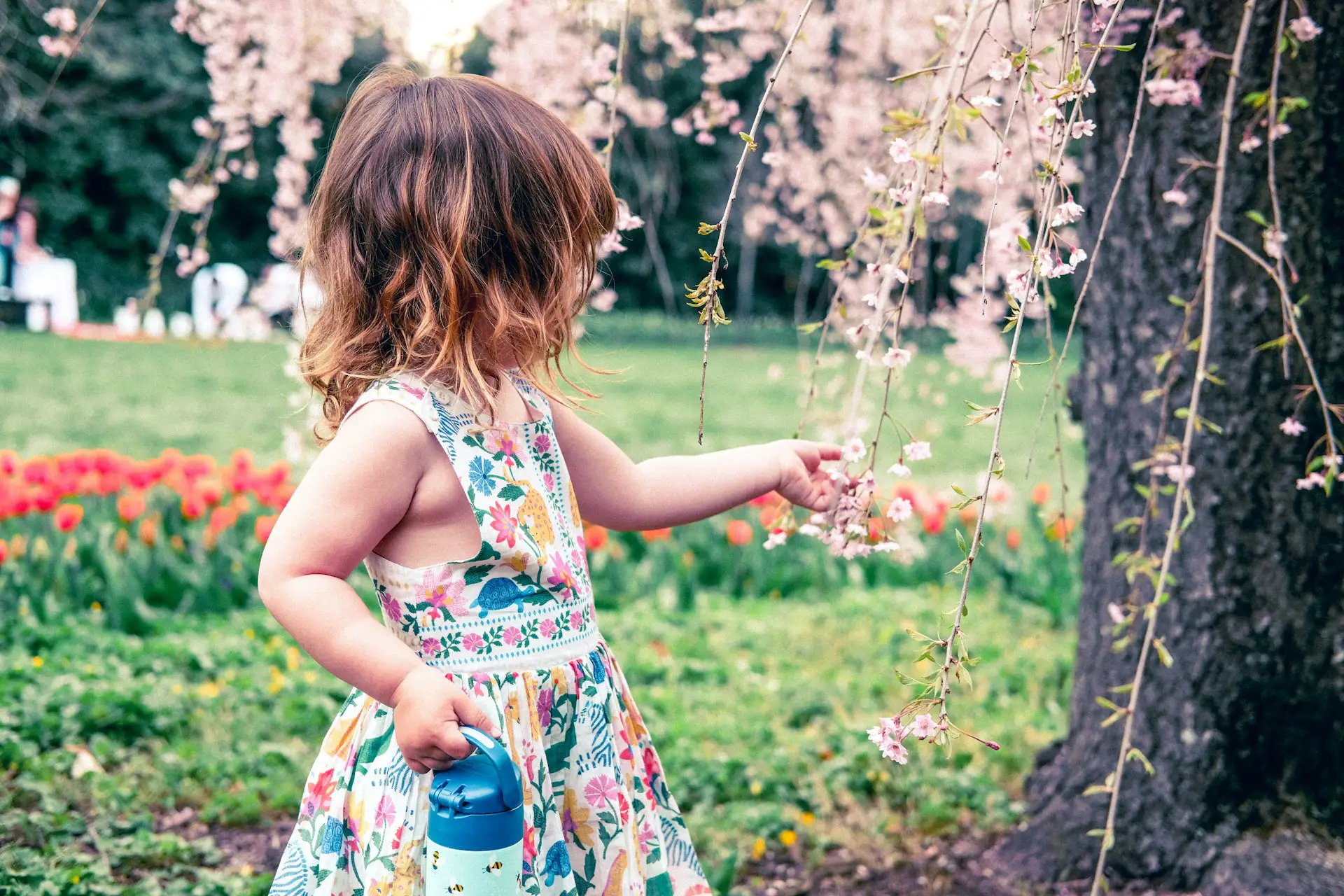 Rafinament discret pentru momente speciale: detalii vestimentare care ...