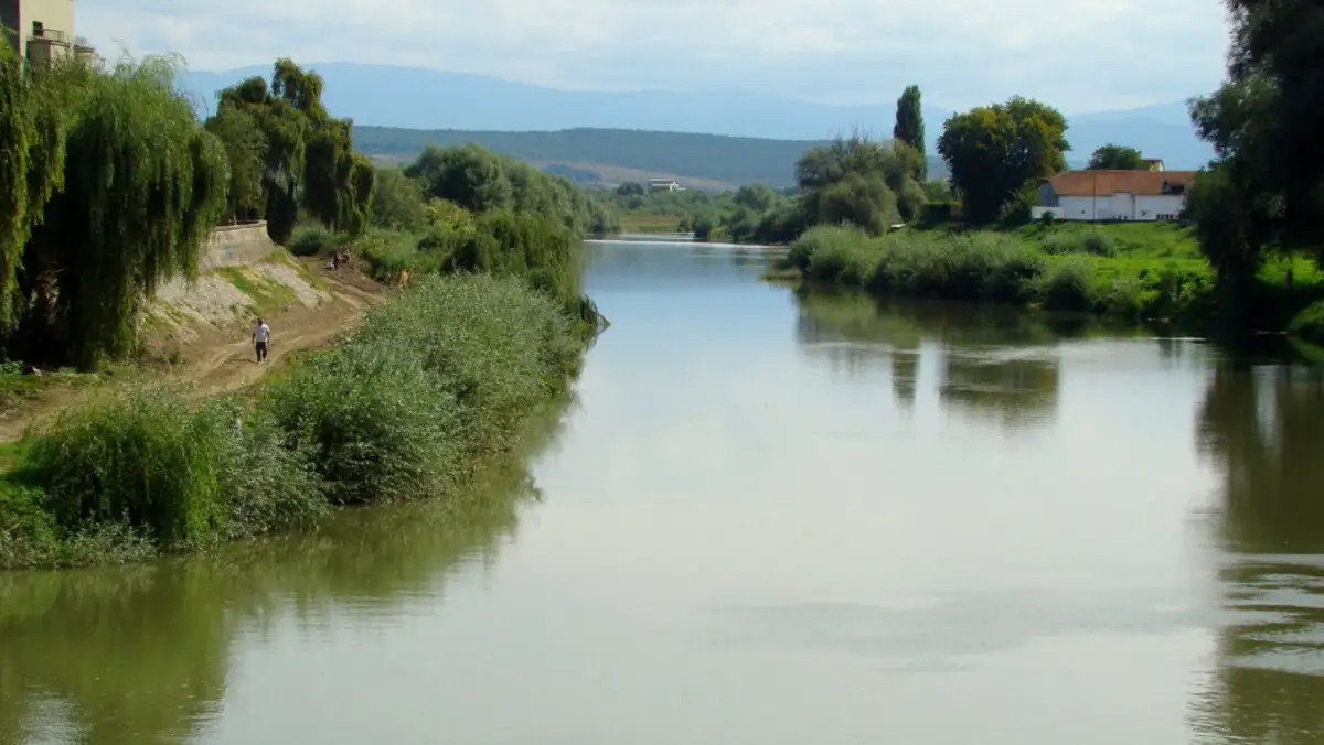 Râul Timiș la Lugoj