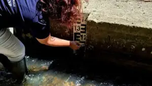 Apele Române anunță o situație fără precedent. Două râuri au secat complet, iar restricțiile la apă se extind