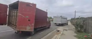 Alertă în România. Transporturi ilegale de animale, descoperite în trafic. Peste 100 de oameni, mobilizați