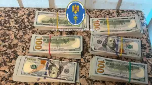 Un pasager a încercat să scoată din țară peste 60.000 de dolari nedeclarați. Gestul făcut în fața vameșilor i-a adus o amendă de 10.000 de lei