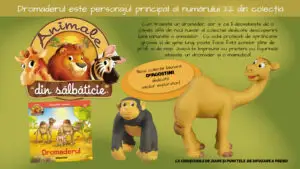 Dromaderul vine din deșert în paginile Colecției „Animale din sălbăticie”. Numărul 22, la chioșcuri, din 4 august!