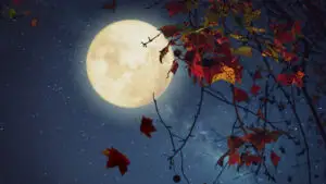 Spectacol astronomic: 3 Luni speciale vor lumina cerul României în toamna anului 2026. În noiembrie apare Superluna