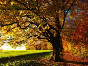 România intră într-o perioadă cu temperaturi peste normal. Ce arată prognoza pentru septembrie