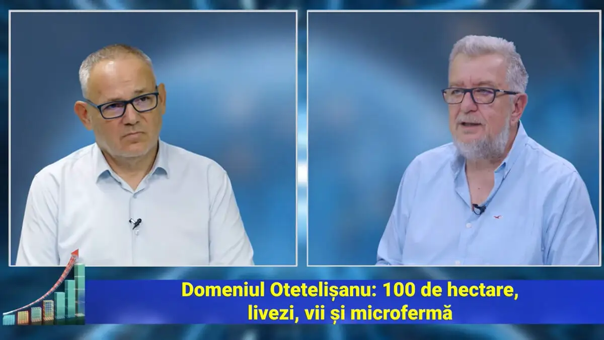 EXCLUSIV. Agricultura de subzistență din România ar putea dispărea. Ce se va întâmpla cu terenurile micilor gospodării