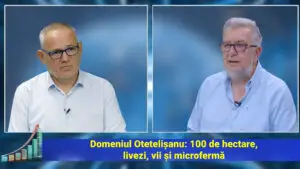 EXCLUSIV. Agricultura de subzistență din România ar putea dispărea. Ce se va întâmpla cu terenurile micilor gospodării