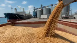Comandă de până la 720.000 de tone de grâu. România este printre furnizorii favoriți ai Algeriei