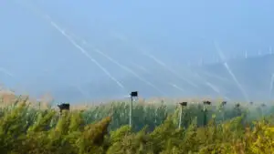 Un fermier a primit două amenzi după ce și-a udat culturile. Sancțiunile se ridică la 70.000 de lei