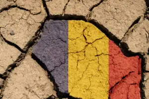Seceta lovește vestul României: producțiile de porumb și floarea-soarelui, în pericol