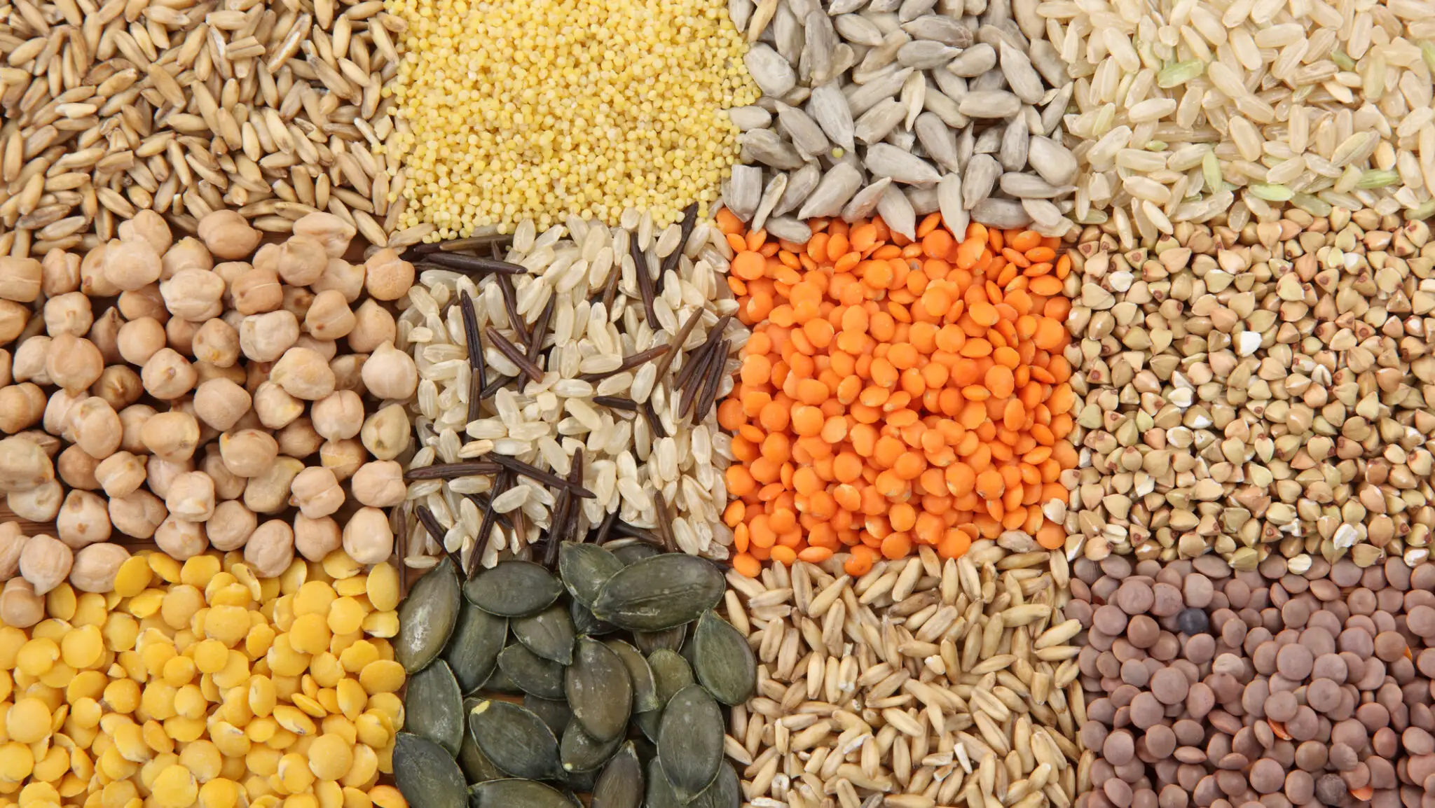 Vești bune pentru agricultură: România ar putea recolta cu 20% mai mult ...