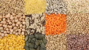 Vești bune pentru agricultură: România ar putea recolta cu 20% mai mult porumb și cu 64% mai multă floarea-soarelui