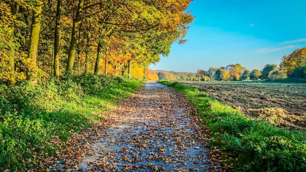 Ce aduce prima zi de toamnă în România. Prognoza care schimbă așteptările pentru 1 septembrie
