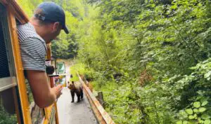 Ce au pățit doi americani celebri după ce s-au îndrăgostit de România