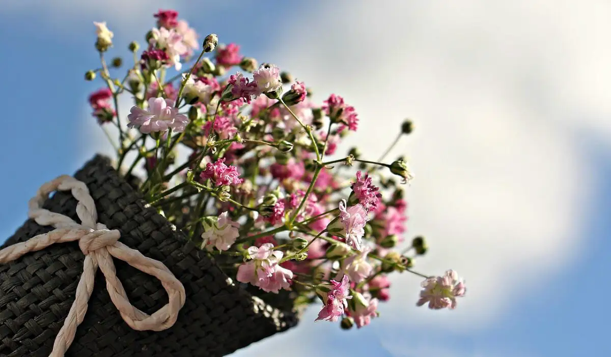 Buchet de flori