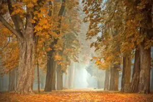 Alertă de ultimă oră emisă de ANM! Cum va fi vremea în următoarele oare în țară și Capitală