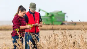 Impozit mai mic pentru terenurile agricole! Ce fermieri pot beneficia de reducerea taxei