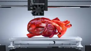Ce se întâmplă cu un organ îmbătrânit când ajunge într-un corp tânăr. Rezultatele sunt demne de un film SF