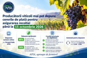 APIA: Producătorii viticoli mai pot depune cererile de plată pentru asigurarea recoltei până la 15 octombrie