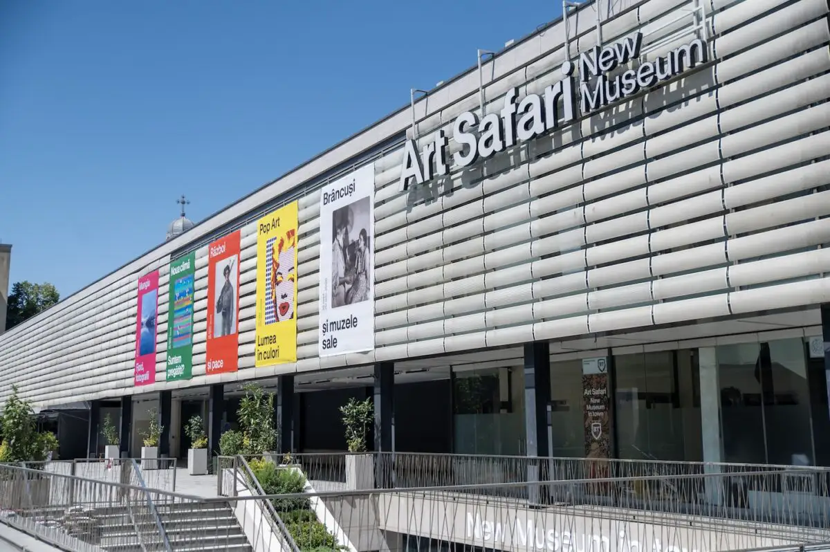 Diana Nicolaie preia conducerea Art Safari New Museum de la Ioana Ciocan. Fosta directoare a devenit ministru al Culturii