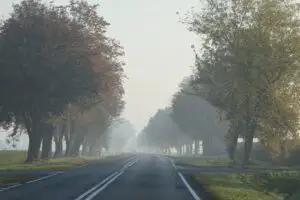 Prognoza meteo 25 octombrie. Temperaturile pornesc de la -2 grade și ajung la 20: zonele vizate de ceață și precipitații