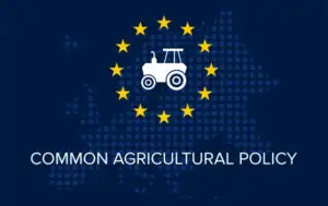 Reforma PAC după 2027: Cine ar putea pierde finanțarea europeană