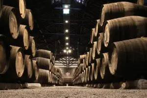 Jaf de milioane de euro la o cramă din Italia. Ce vinuri au fost sustrase din depozit