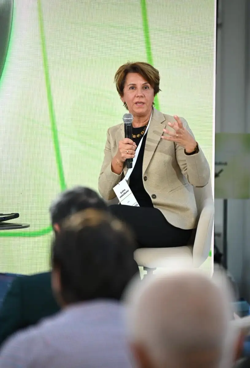 Elena Ungureanu, Country Manager Visa în România