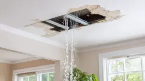 Ai o problemă în apartament și o ignori? Ce obligații ai și ce sancțiuni riști în urma reclamației