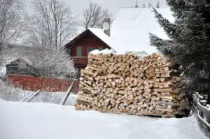 Ajutor pentru lemne de foc în iarna 2026–2027. Ce venituri trebuie să aibă românii care cer banii