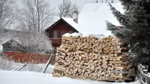 Ajutor pentru lemne de foc în iarna 2026–2027. Ce venituri trebuie să aibă românii care cer banii