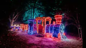 Lumina Park se deschide la Grădina Botanică din București. Peste 200 de instalații luminoase vor putea fi vizitate până în ianuarie 2027