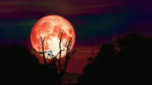 Luna Vânătorului luminează România. Ce trebuie să faci neapărat pentru a afla cine „te vânează”