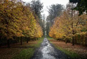 Prognoza meteo 23 octombrie. Ploile pun stăpânire pe jumătate de țară, iar temperaturile coboară drastic