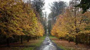 Prognoza meteo 23 octombrie. Ploile pun stăpânire pe jumătate de țară, iar temperaturile coboară drastic
