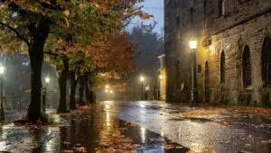 Semnal de la meteorologi pentru sâmbătă. Ploile, ceața, lapovița și ninsoarea își fac de cap. Zonele cele mai afectate de vreme rea