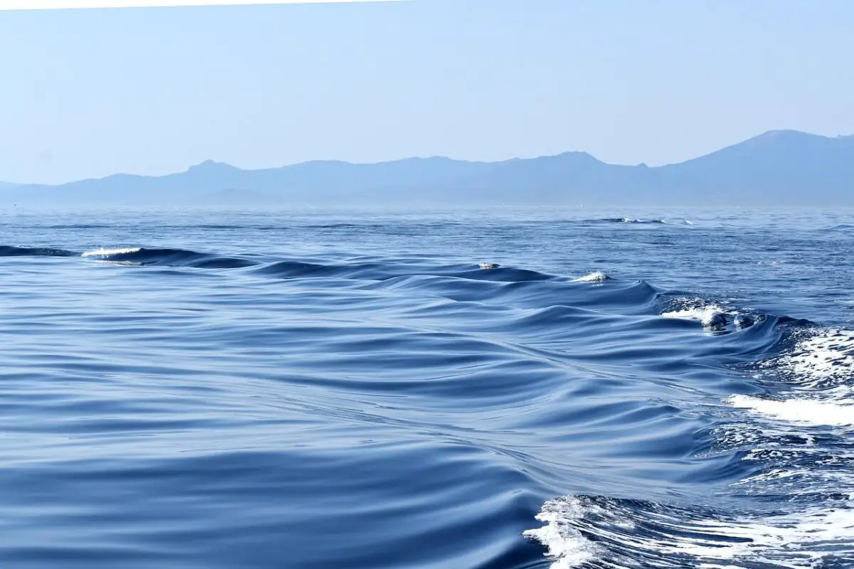 Valuri Ocean