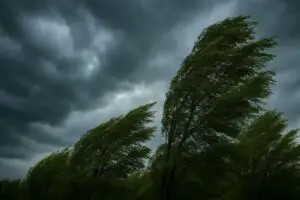Prognoza meteo 21 octombrie. Unde vor fi 26 de grade și sunt așteptate ploi și rafale puternice