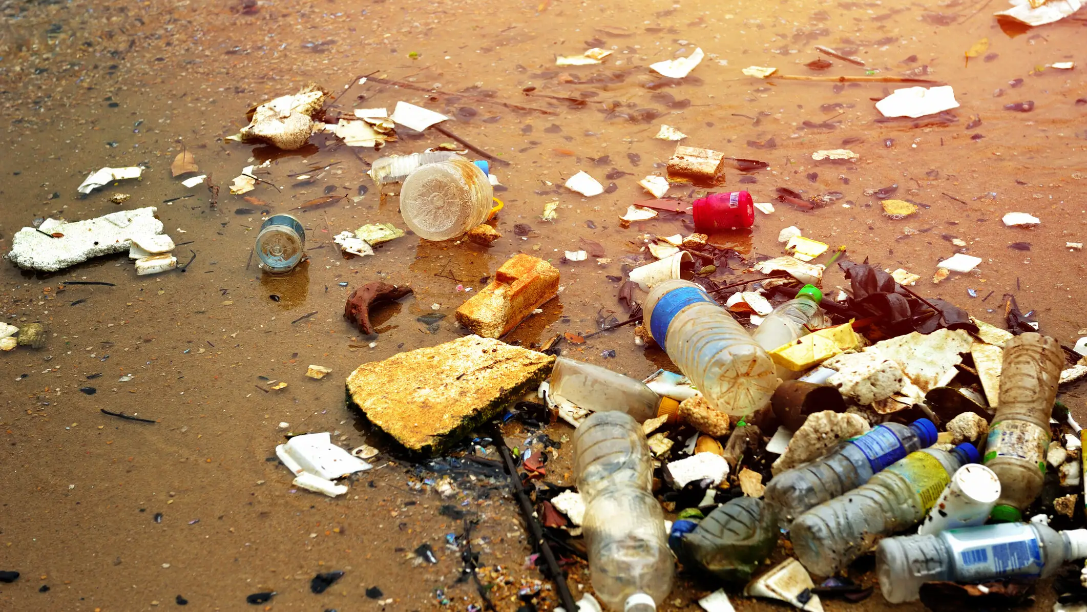 Microplasticele sufocă solurile agricole! Oamenii de știință folosesc AI pentru a găsi enzime care pot descompune plasticul
