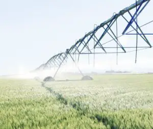 Irigațiile – pariul guvernului Ponta cu agricultura