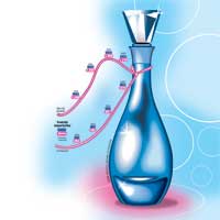 China pulverizează în România 14% din importul de parfumuri