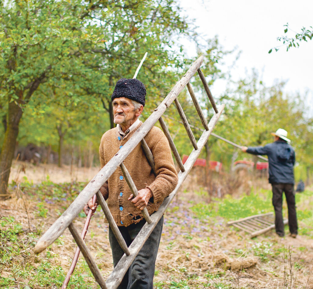 Se caută nouă atașați agricoli care să promoveze produsele românești