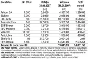 Profitul portofoliului virtual capital în 2007