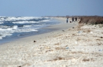 Plajele de la Marea Negră, scoase spre închiriere. Mamaia, Eforie și Vama Veche, cele mai căutate