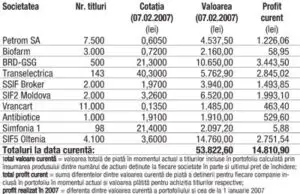Profitul portofoliului virtual capital în 2007