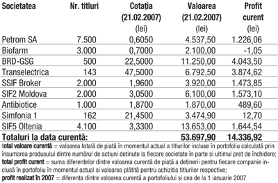 Profitul portofoliului virtual capital în 2007 3.129,05 lei (6,19%)
