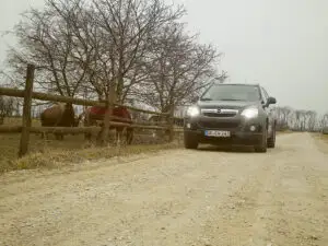 Manifest pentru corectitudine în aglomeratul segment SUV