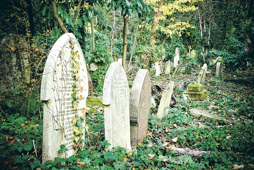 «Vânătorii» de morminte