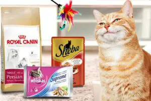 eMAG vinde mâncare pentru animalele de companie