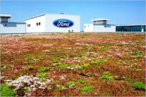 Ford va construi 14 noi uzine